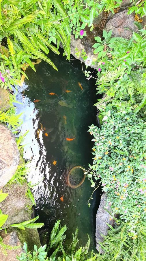 An Nhien Villa เบ๋าลอก ภายนอก รูปภาพ